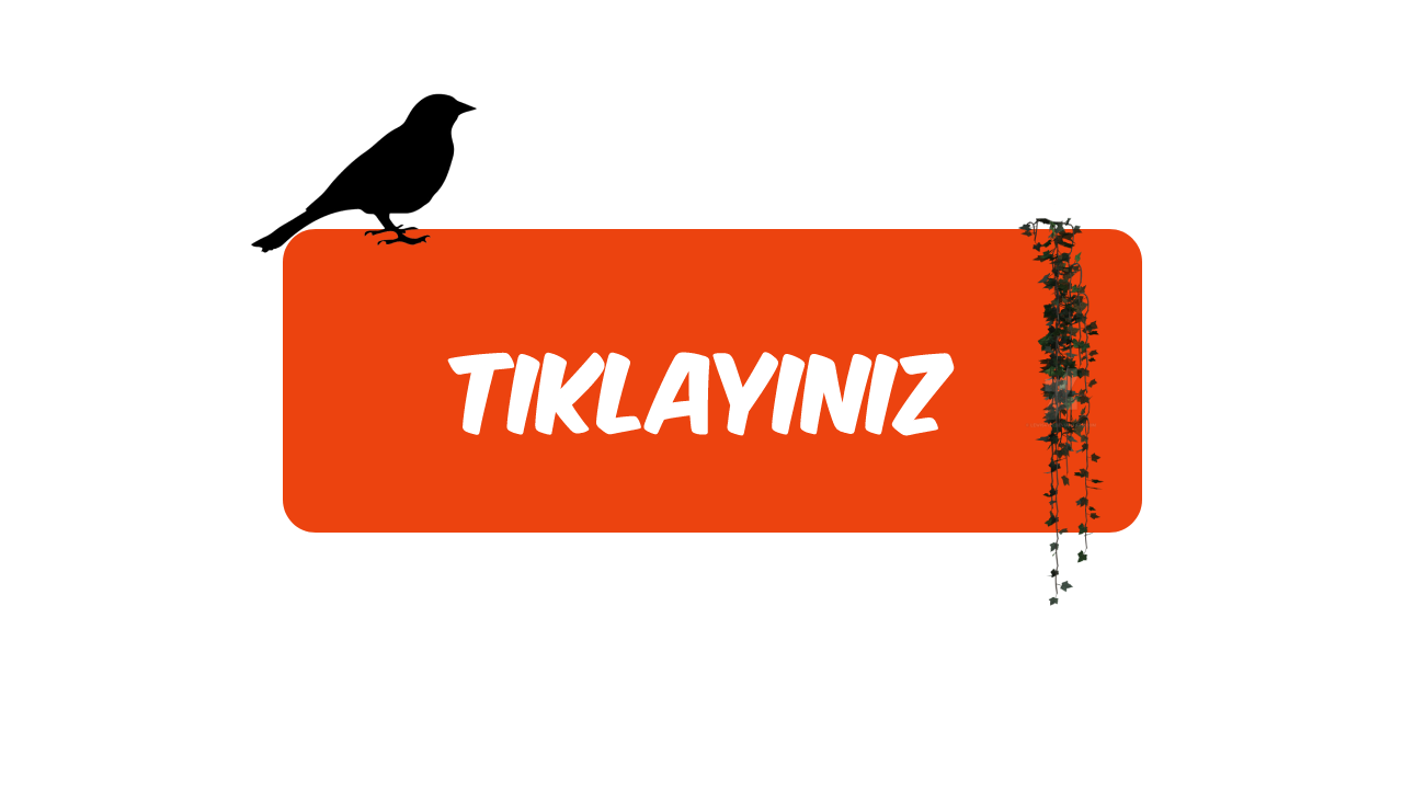 Tiklayiniz